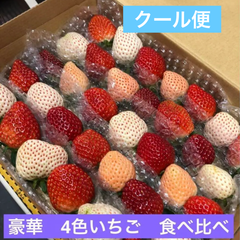 いちご 苺 4色 豪華　食べ比べ クール便