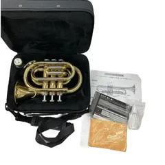 2025年最新】SELVA トランペットの人気アイテム - メルカリ