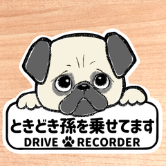 ときどき孫を乗せてます.ドライブレコーダー【パグ.ボード】マグネットタイプ/シールタイプ/吸盤タイプ/