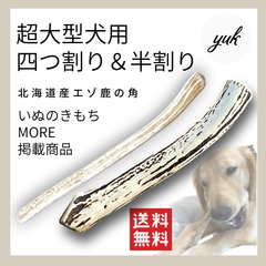 【お試しセット】超大型犬用　四つ割り&半割り　北海道産エゾ鹿の角　鹿の骨　犬のおもちゃ　G
