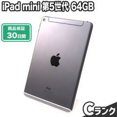 iPad mini 第5世代 64GB Cランク 本体のみ