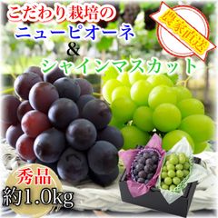 食品 山梨県産 ぶどう⭐️シャイン ブラックビート⭐️食べ比べset 箱