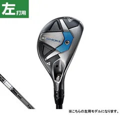 2025年最新】Aiスモーク レフティの人気アイテム - メルカリ