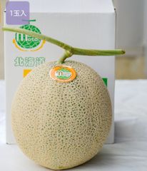 美味！最高級富良野メロン　R113　秀品　特大玉1玉入り