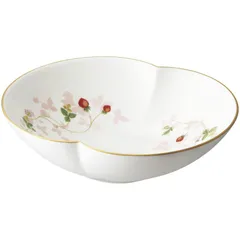 2025年最新】ワイルドストロベリー プレート 20cmの人気アイテム