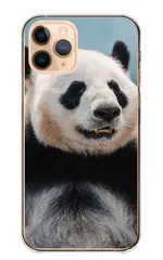 iPhone 13 iPhone13 ケース カバー アイフォン13 スマホケース ハードケース パンダ ぱんだ ジャイアントパンダ 可愛い 写真 動物 アニマル かわいい かっこいい カラー07