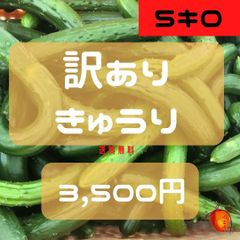 沖縄野菜　きゅうり５kg