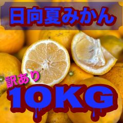 【南楽園産の訳あり日向夏10kg(種あり・小玉果)】たっぷり10kg《見た目難あり・味は◎》