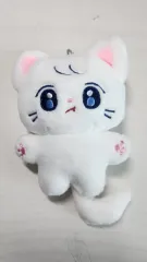 LE SSERAFIM(ルセラフィム・ルセラ) サクラ 苦味が良い 人形 ぬいぐるみ ぬい ミドルキャット