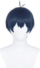 ブルーロック 潔 世一 ウィッグ コスプレ [Pawpaw] 千切豹馬 蜂楽廻 糸師冴 ウィッグ かつら 高温 耐熱 学園祭 Cosplay Wig ネット付き (潔 世一【ウィッグ】)