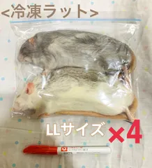 2025年最新】冷凍ラットの人気アイテム - メルカリ