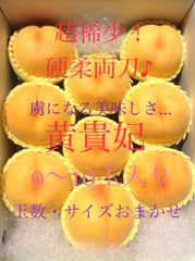 予約商品 9月中旬から10月上旬にかけ発送予定。超稀少！ 虜になる美味しさ… 硬柔両刀♪ 至極の一品 木成り熟成 黄貴妃
