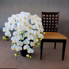 造花胡蝶蘭L-白 5F  高さ95cm×巾60cm 造花・光触媒コーティング