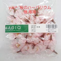 【専用】