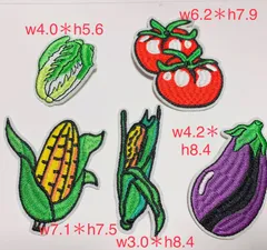 野菜ワッペン５枚　白菜ワッペン　アイロンワッペン　刺繍ワッペン　アップリケのサムネイル