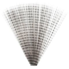 Item thumbnail for item 40d3442c-17c1-492c-91d1-e7417b89d5d4