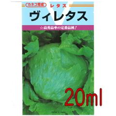カネコ種苗　Ｖ（ヴイ）　レタス　２０ｍｌ