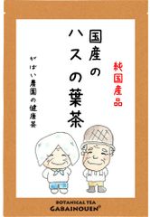 国産 ハスの葉茶 2g×30包 【がばい農園公式】