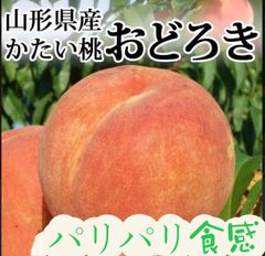 山形県産　おどろき　硬い　固い　柿のような　りんごのような　バリ固い