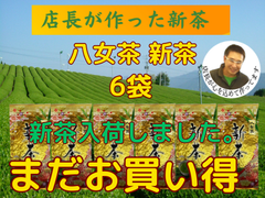 新茶入荷しました!!!全国  健康 一番茶 日本茶 煎茶  緑茶 新茶 母の日 高級煎茶 八女茶　100g✕6袋　八十八夜