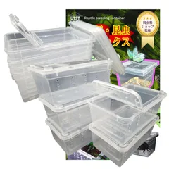 中古　爬虫類飼育セット　手渡しのみ 2025年最新】ケージ 中古 爬虫類の人気アイテム - メルカリ