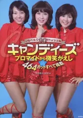 【新品未開封】キャンディーズ・トレジャー〈完全生産限定盤・4枚組〉 キャンディーズ・トレジャー DVD 4枚組