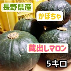 長野県産　カボチャ　かぼちゃ　南瓜　蔵出しマロン　料理　野菜　数量限定　減農薬　低農薬　大容量のサムネイル