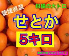せとか　家庭用5キロ