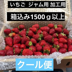 いちご 苺 ジャム用 加工用 クール便
