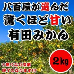 有田みかん 2㎏ 産地直送 減農薬ミカン 早生蜜柑 濃厚 甘い 高糖度　傷あり 有田 みかん 和歌山