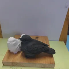 炭ひのき脱臭炭石膏鳥M