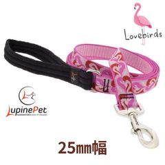 LUPINE25mm幅120cmパッド付きリード　ラブバード柄　アメリカ製　Lovebirds　中型犬用大型犬用