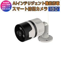 C63S 300万画素 ONVIF 防犯カメラ 魚眼レンズ MicroSD録画