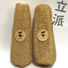 2本　立派な天然ヘチマわわし　エコスポンジ　　無農薬無漂白