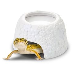 マルカン　ジオハウス　フラワー　L