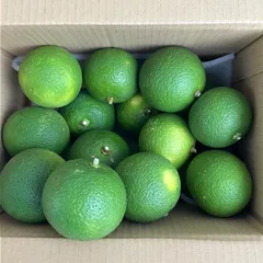 2025年最新】無農薬 かぼすの人気アイテム - メルカリ 