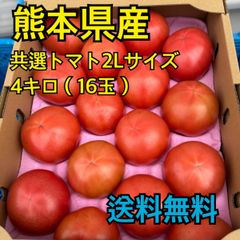 熊本県産　共選八代大玉トマト　16玉　4キロ　訳アリ