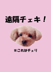 遠隔チェキ！