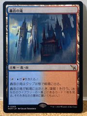 MTG 眠り呪いのフェアリー WOE 日本語 4枚セット - メルカリ