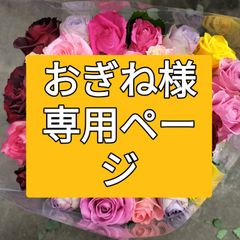 バラ  B級品  50センチ30本❨生花 切り花 花束❩