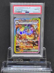 PSA10（ブイズ）