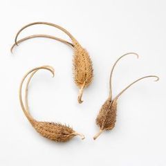 Item thumbnail for item 987b87e9-f279-4a2e-a891-189b6b55e5bf