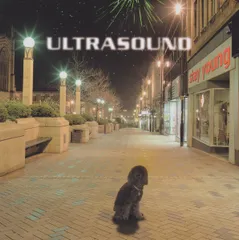 2025年最新】asound レコードの人気アイテム - メルカリ