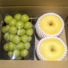 シャインマスカット　はるかりんご　850g〜
