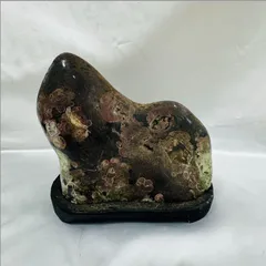 2025年最新】梅花石の人気アイテム - メルカリ