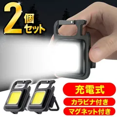 ＼2個でこの価格！／ 懐中電灯 COB ライト ミニライト ミニ投光器 TypeC 作業灯 投光器 充電式 高輝度 800lm マグネット式 USB充電 屋外 防水 小型 カラビナ せん抜き キャンプ COBライト 三脚 軽量 アウトドア 非常用 防災グッズ