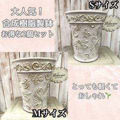 お得なセット販売