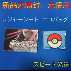 ポケモンダイパリメイク特典 楽天ブックス限定 レジャーシート エコバッグ