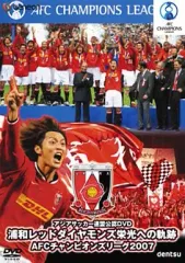 【Q361】送料185円★美品★NIKE ナイキ サッカー アジアカップ2007 日本代表 半袖ポロシャツ Lサイズ ブルー 日の丸 吸汗速乾 ドライ