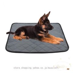 2枚入り 洗える ペットシーツ 犬 猫用 おしっこマット ペット用おしっこマット ペットマット トイレシート 下敷き マット 大判 防水 速乾 介護 丸ごと洗える